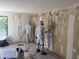 Mold Documentation for Insurance Claims in New Square, NY